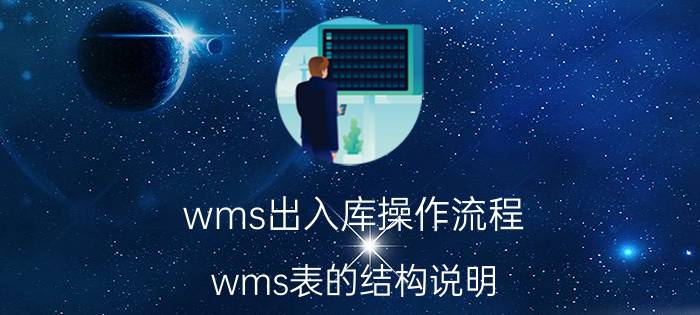 wms出入库操作流程 wms表的结构说明？